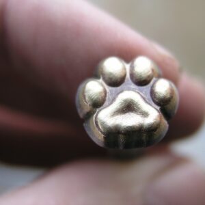 011-09 Stopa Kočky - Cat track - Katzenpfote