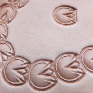 011-13 Kopyto koně - Horse HOOF - Pferdehuf