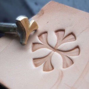 Lístok Ginkgo raznica do kože