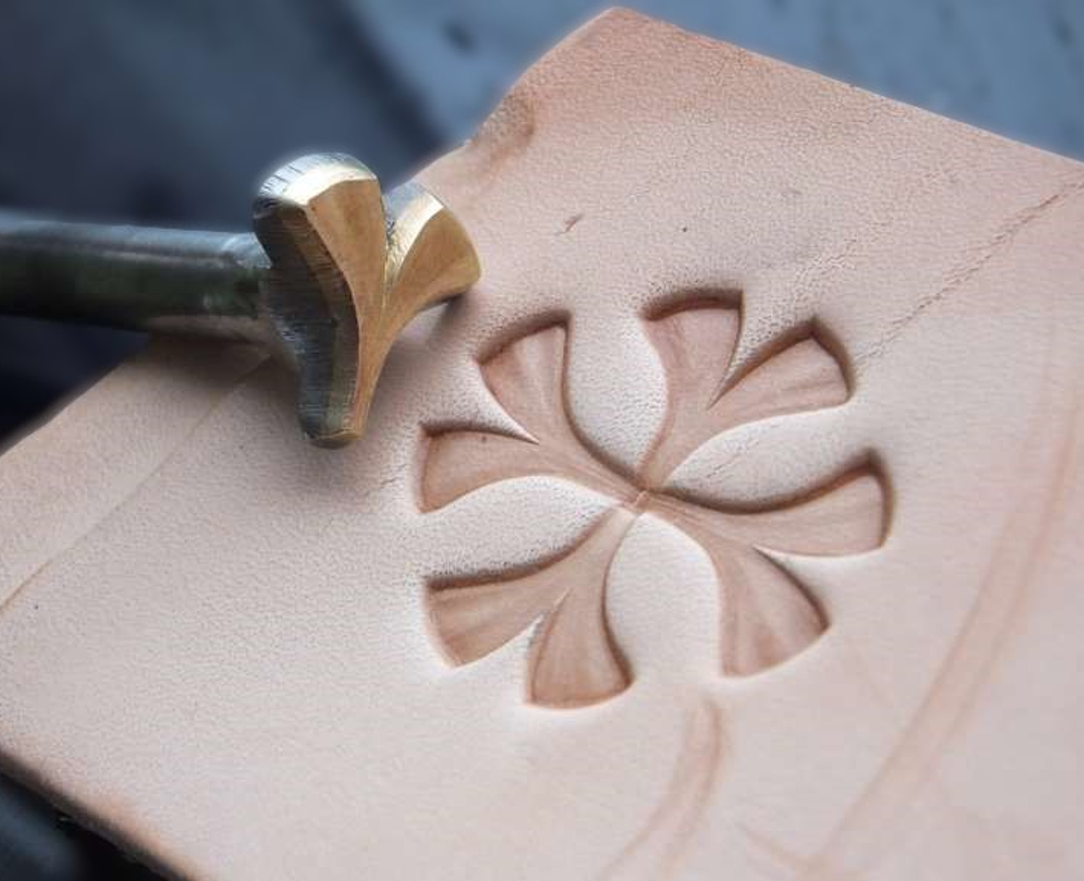 Lístok Ginkgo raznica do kože