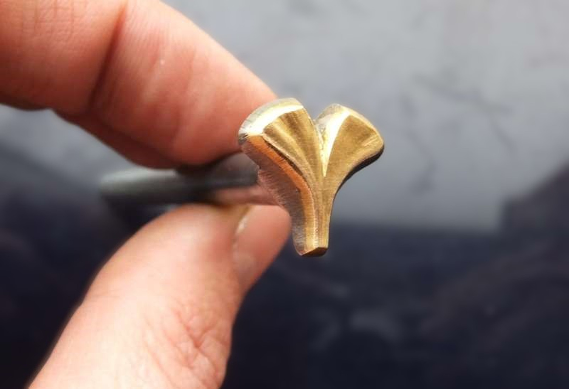 Lístok Ginkgo raznica do kože