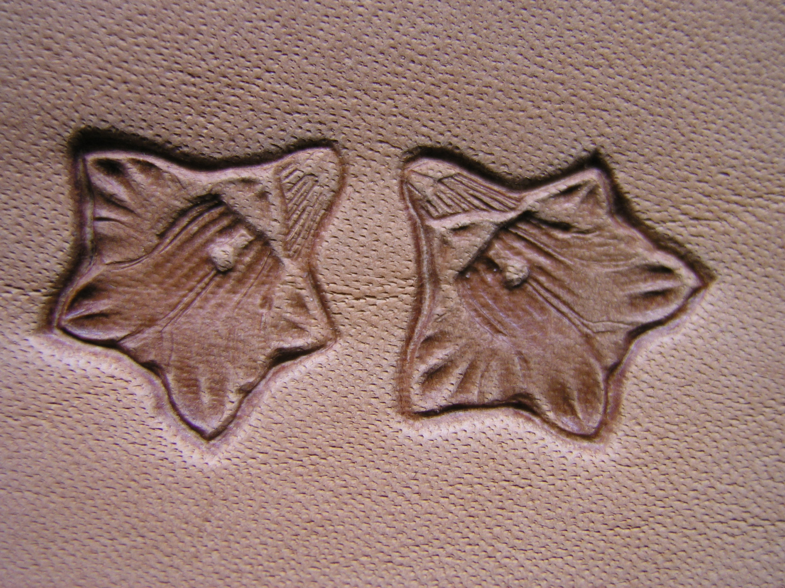 Horec – Enzian razidlo do kože