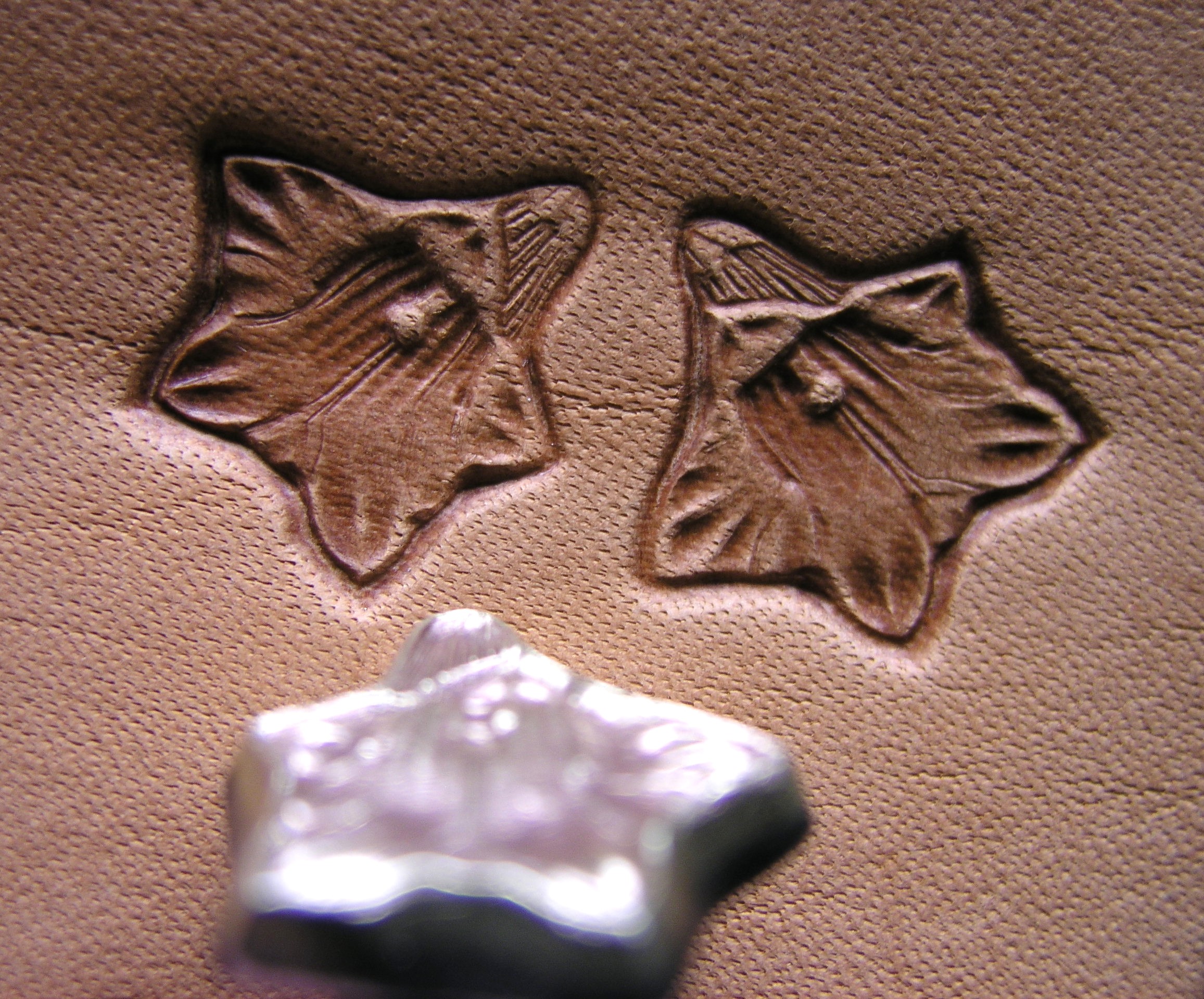 Horec – Enzian razidlo do kože