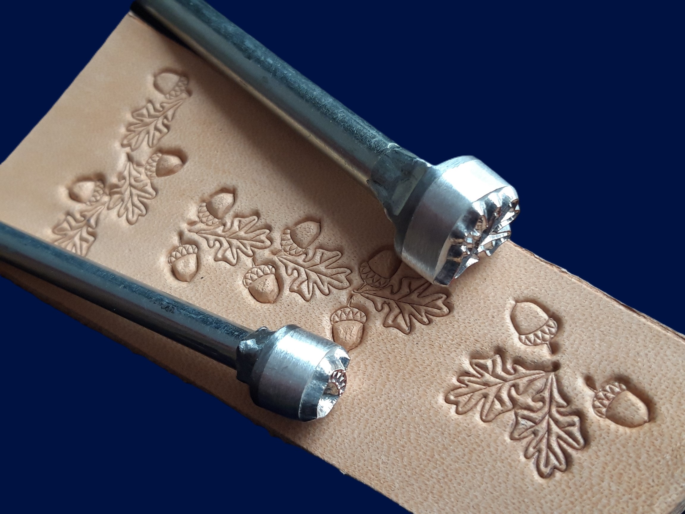 017-16 Dubový list a žalud – Obrázok 2