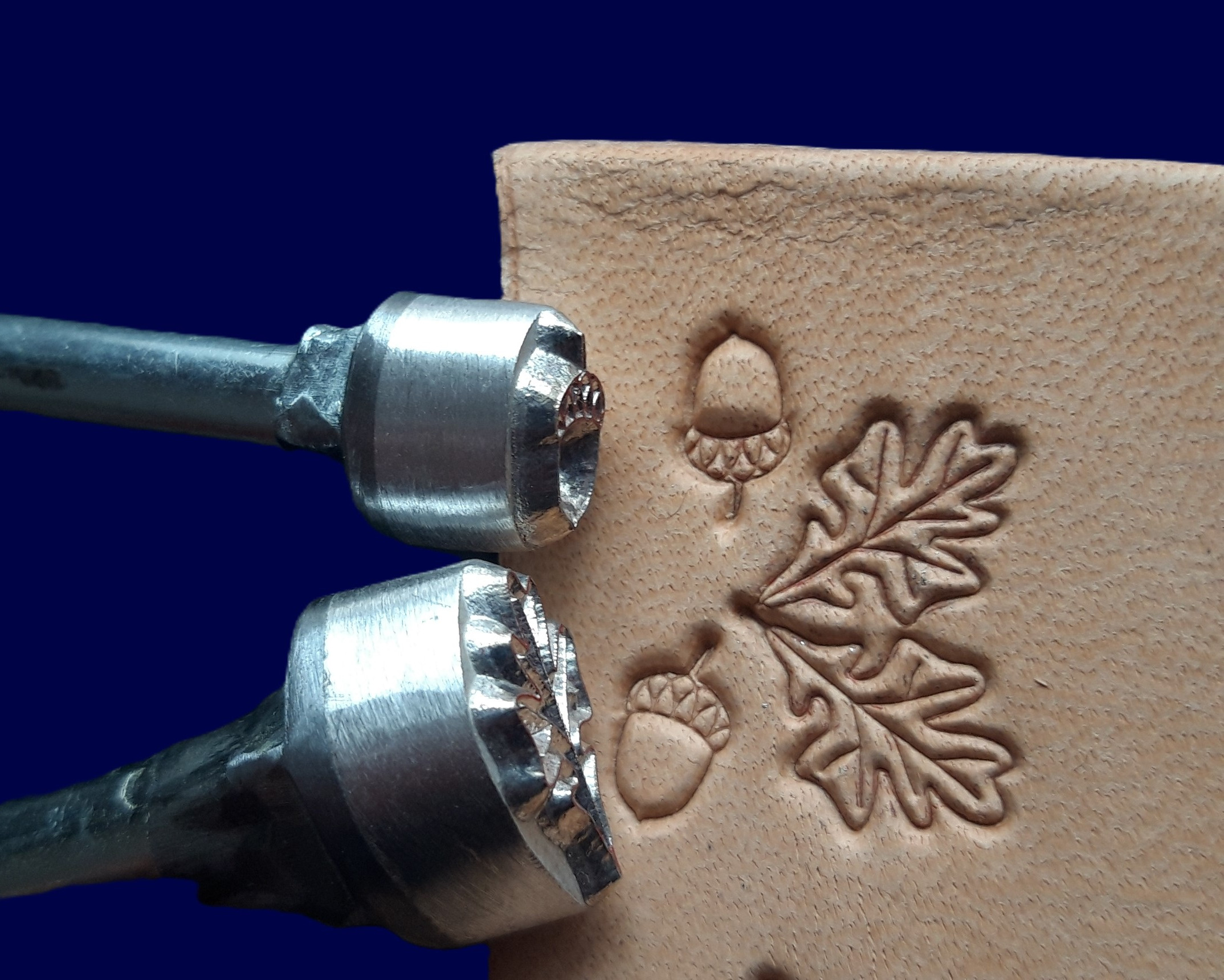 Dub a žalud raznice do kůže