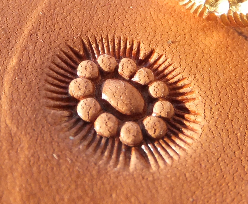 015-11 Střed květu - ovál