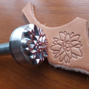 015-0x Protěž velká – Edelweiß