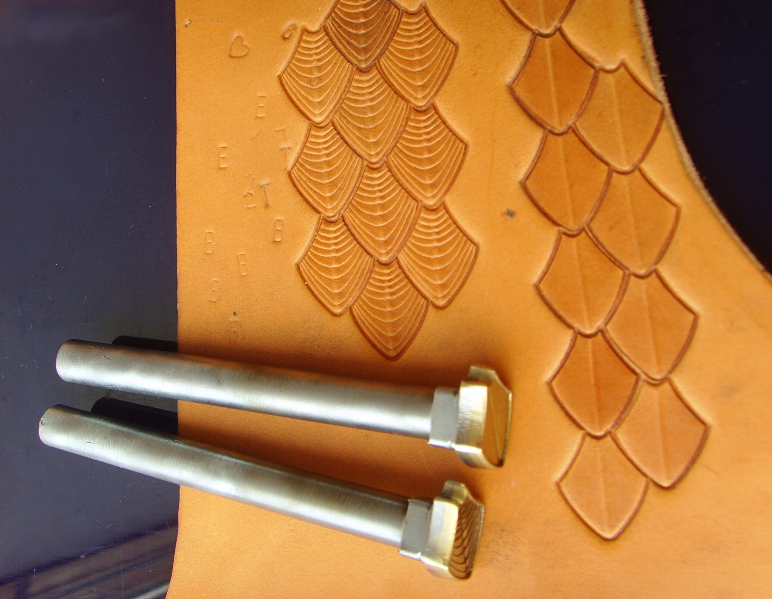 017-05 Velké Šupiny PROFI - drak, plaz, ryba