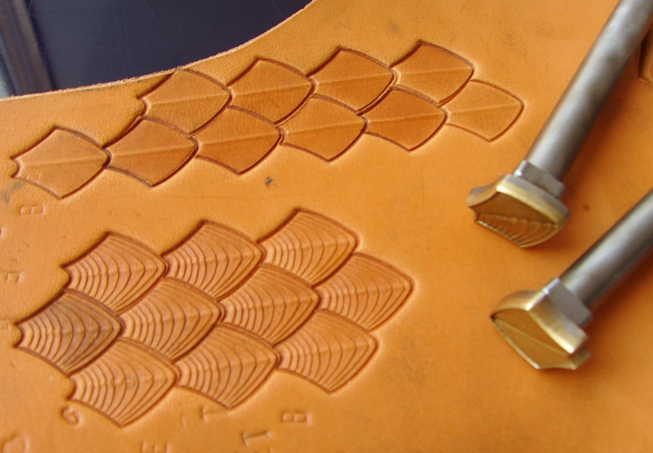 017-05 Velké Šupiny PROFI - drak, plaz, ryba – Obrázok 2