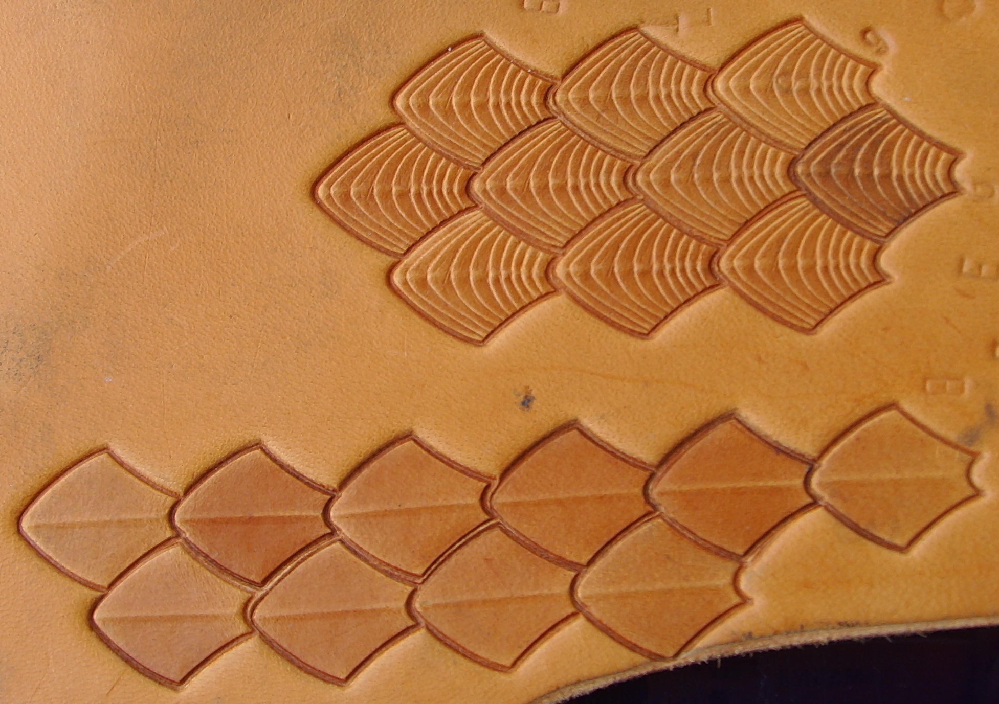 017-05 Velké Šupiny PROFI - drak, plaz, ryba – Obrázok 3