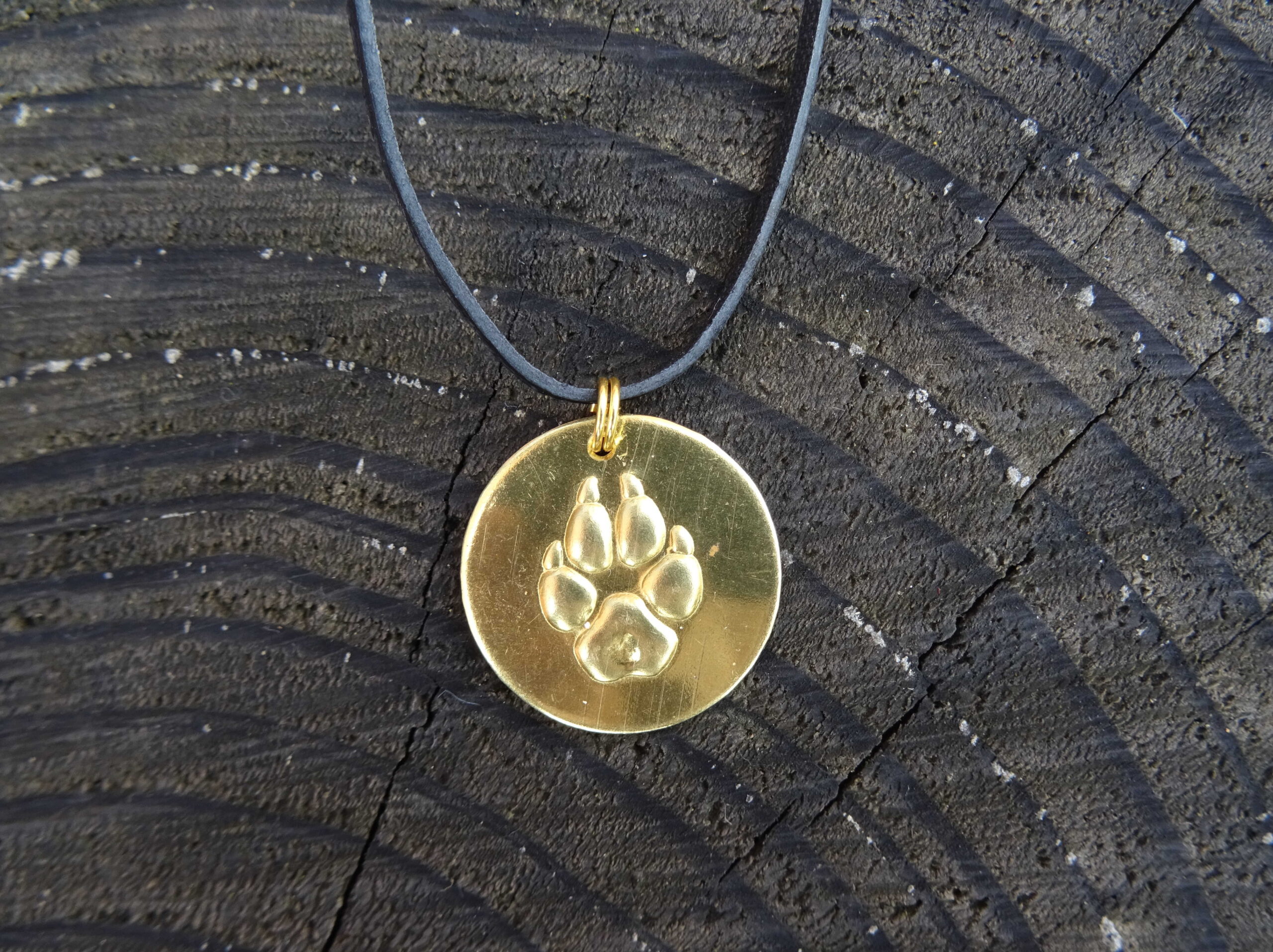 Stopa vlka medaile mosaz